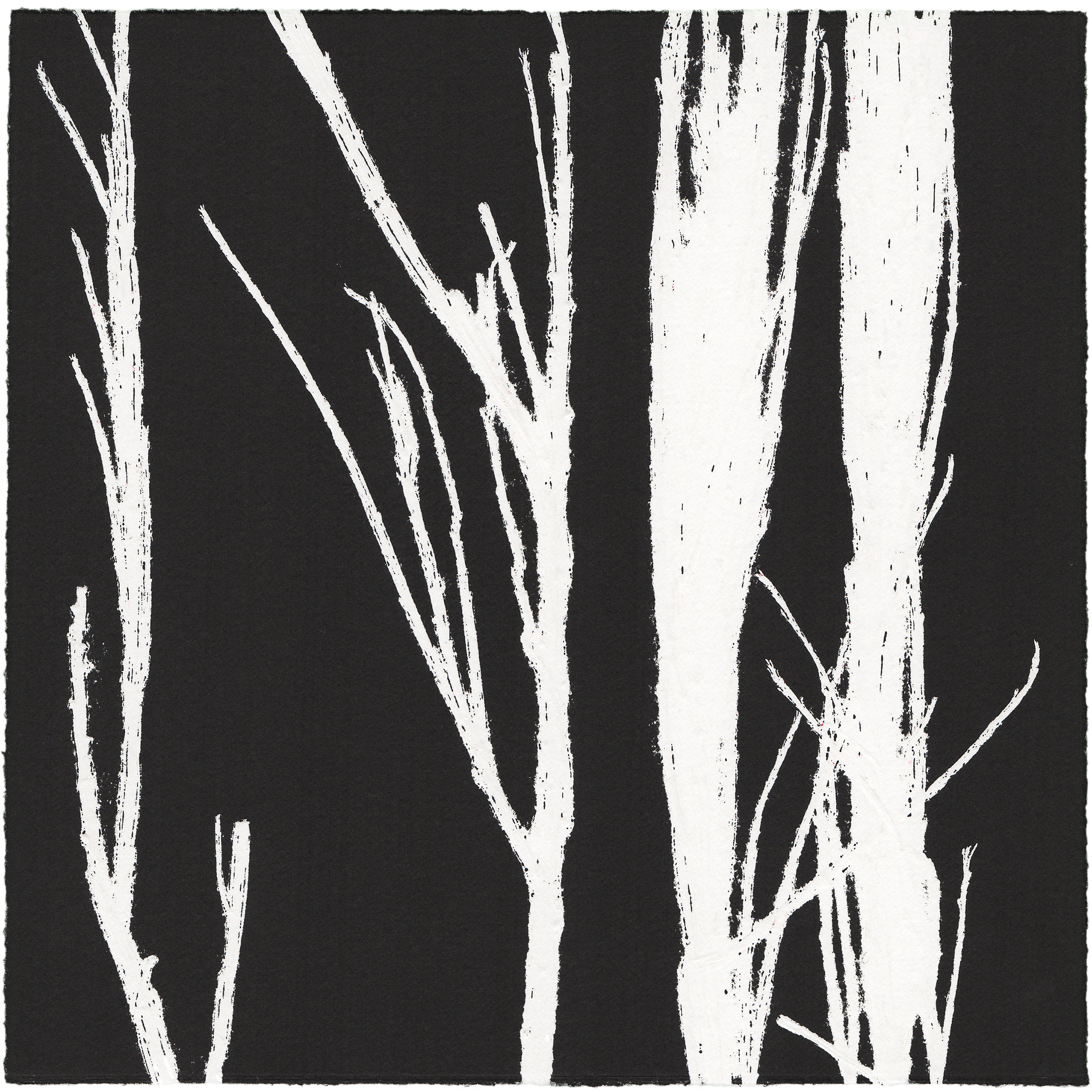 43/60 VIELFALT AM WEGESRAND, 2020 Einzelgrafik einer 60-teiligen Arbeit, Unikat Monoprint von Wildblumen 20 x 20 cm
