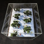 „Tischlein-Deck-Dich“, Objekt : Plexiglas-Körper, 120 x 106 x 50 cm (mit Fotografie / Outdoorplane 120 x 86 cm), 2021