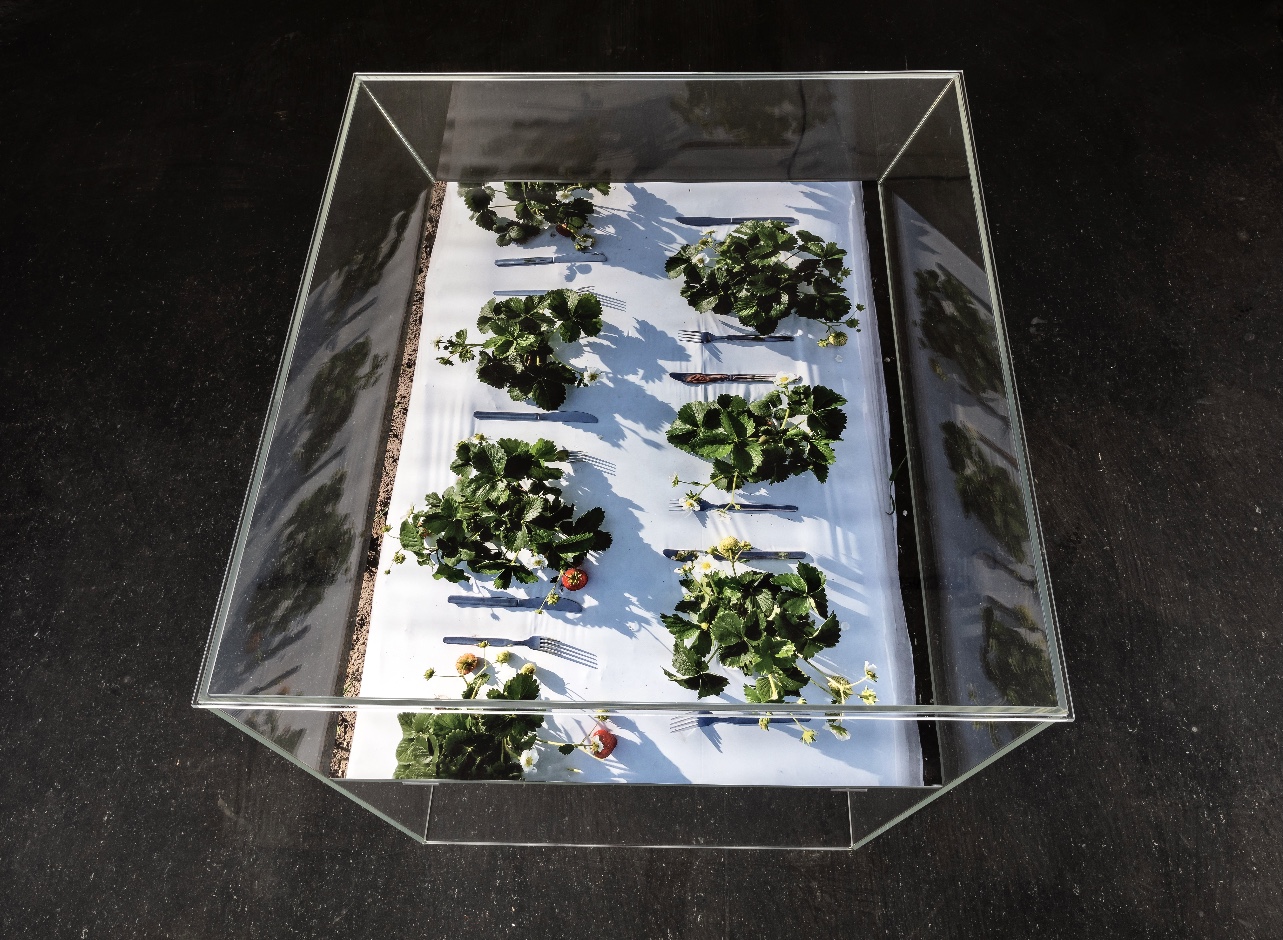 „Tischlein-Deck-Dich“, Objekt : Plexiglas-Körper, 120 x 106 x 50 cm (mit Fotografie / Outdoorplane 120 x 86 cm), 2021