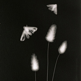 Jutta Tonigs