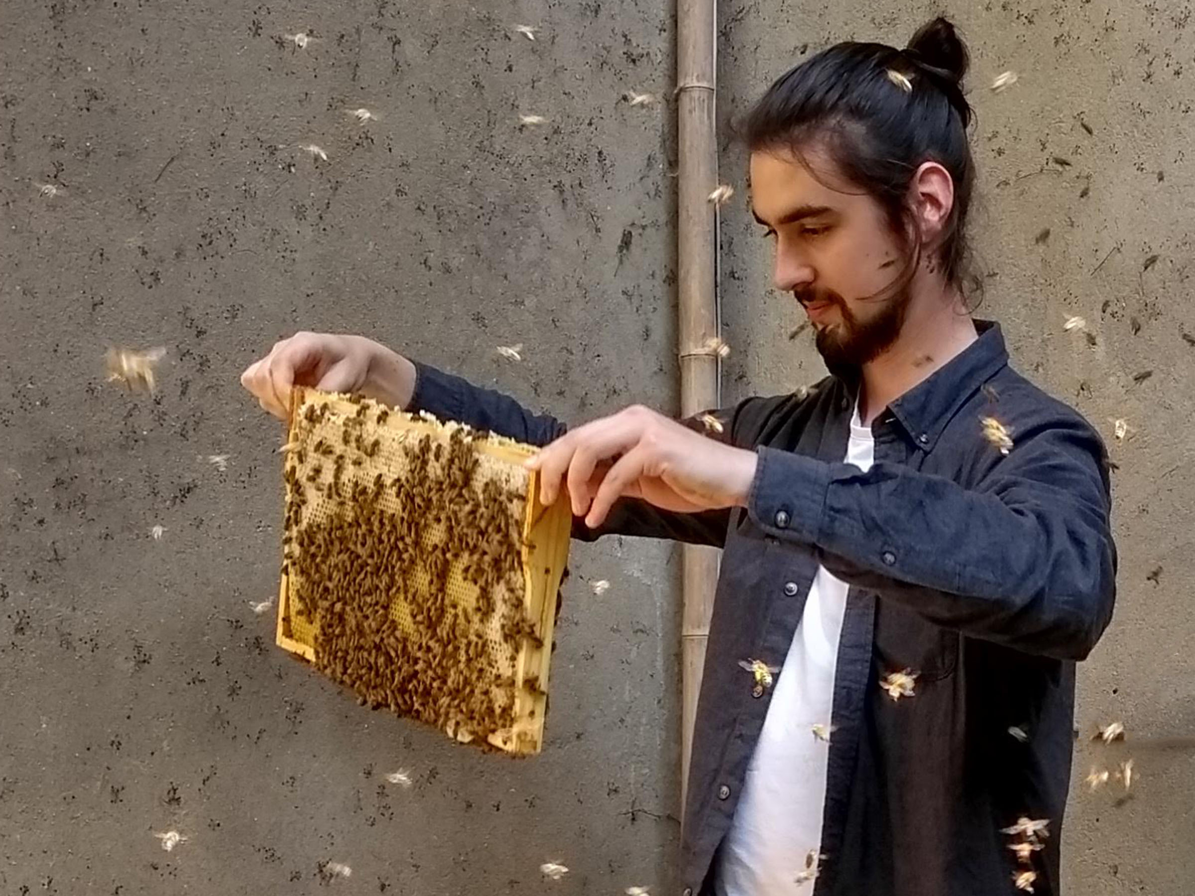 Bild 03 Bienenpflege
