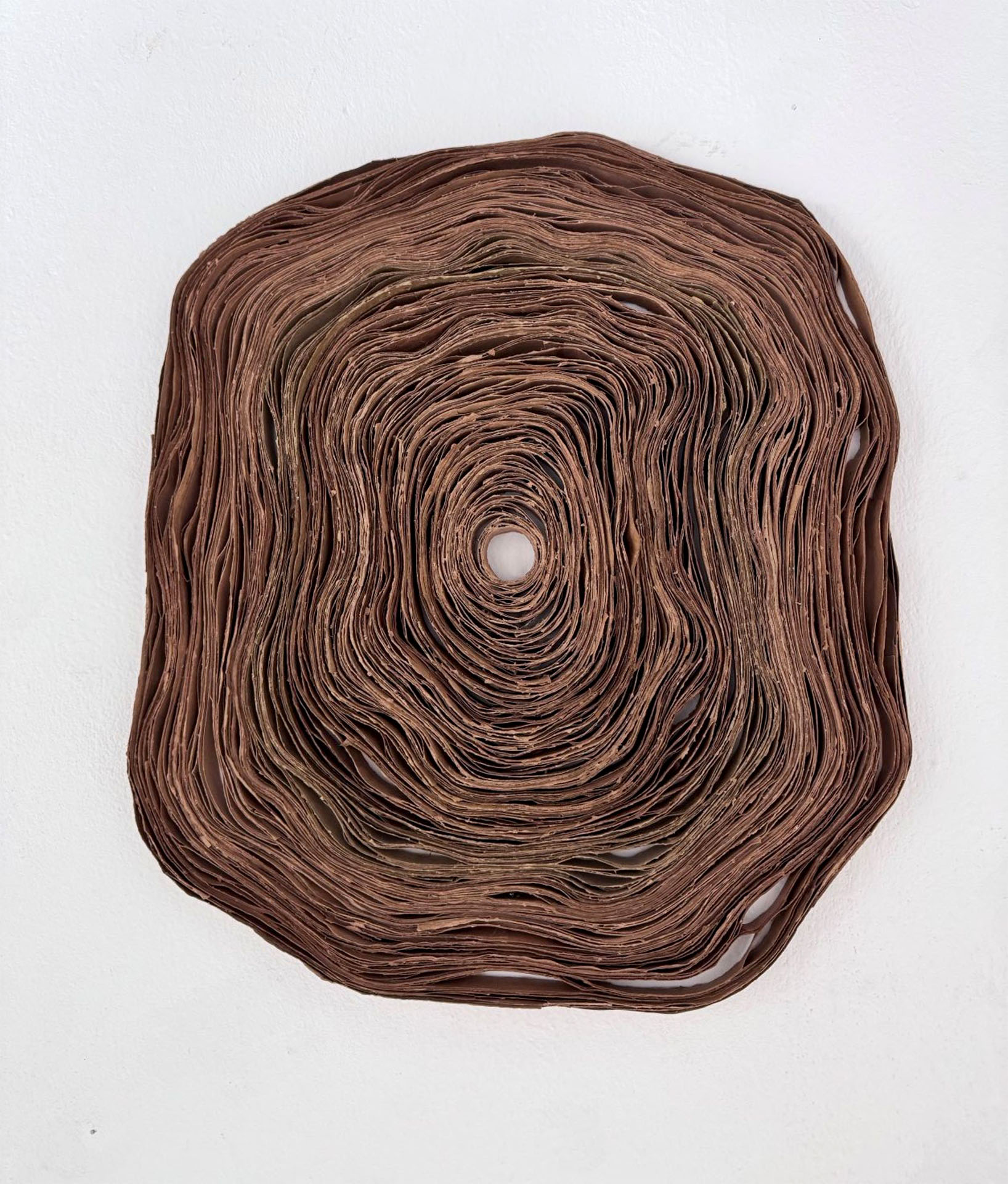Beate Schlör - Baumscheibe - Papier Kleister (2025)