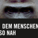 DEM MENSCHEN SO NAH | Lydia Drontmann
