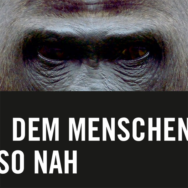 DEM MENSCHEN SO NAH | Lydia Drontmann